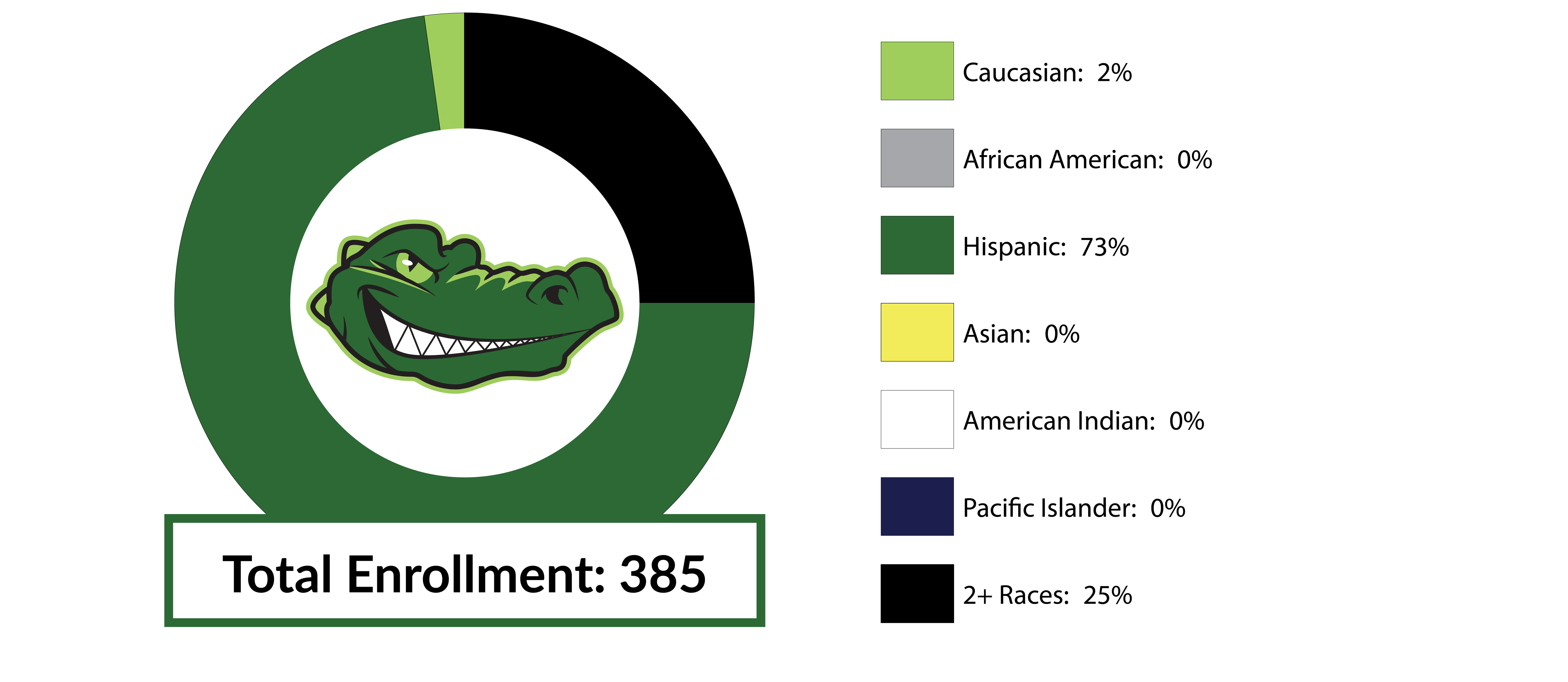 GVES Racial/Diversity Data