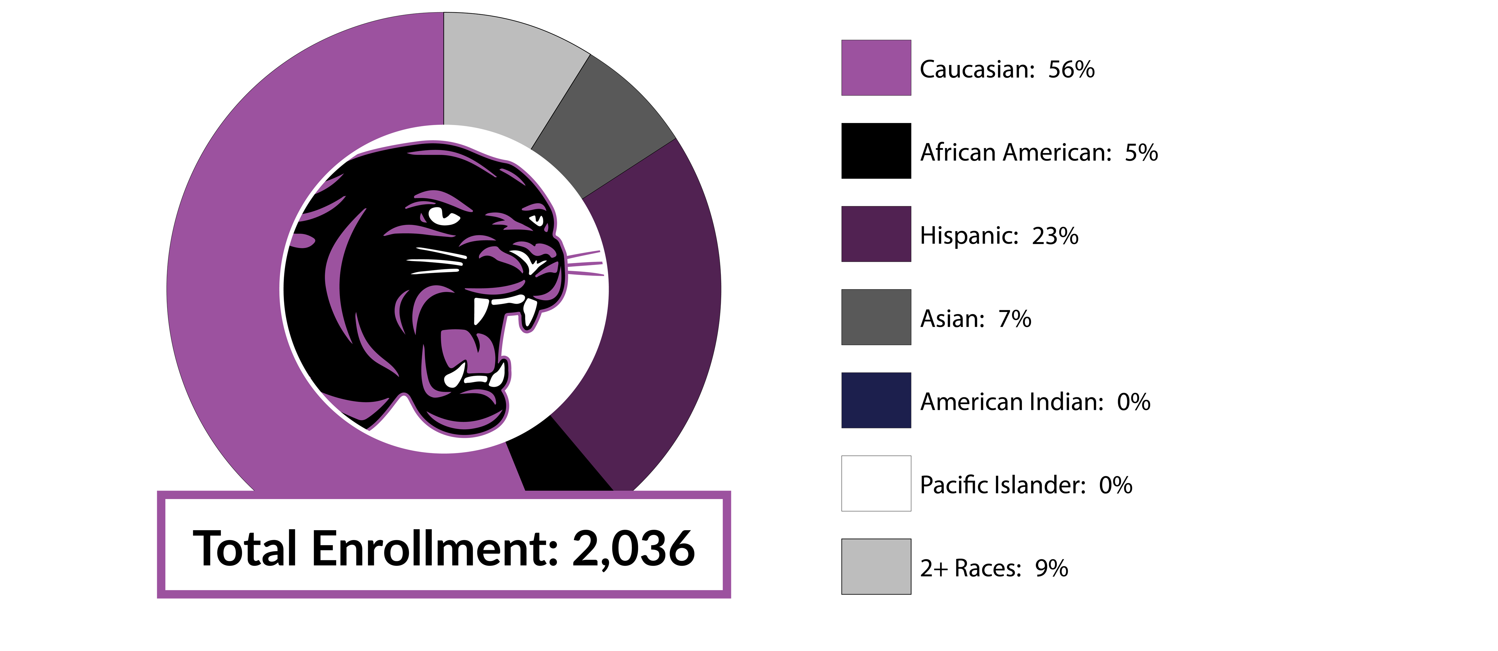 HHS Racial/Diversity Data